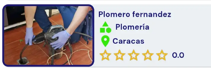 plomero fernandez